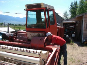 TheMower