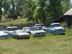 TruckInTheYard
