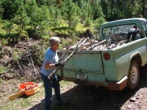 Betty-Loading-Wood